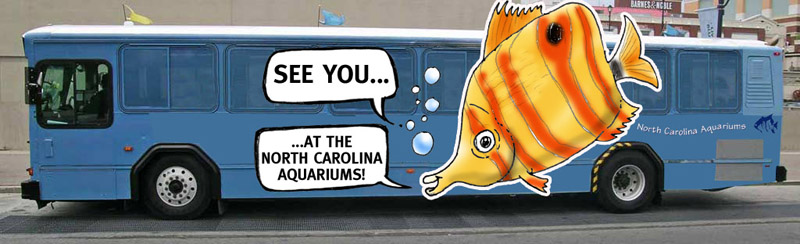 A bus with a big ywlloe fish printed on a side